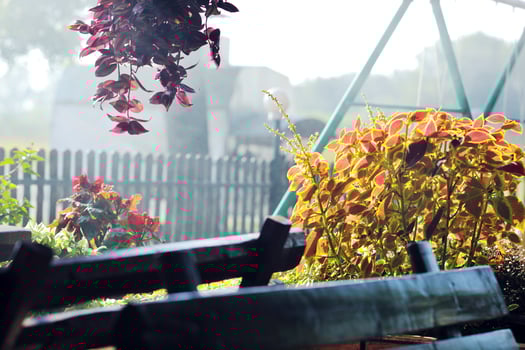 colorful balcony with flowers photo