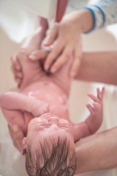 Newborn baby girl taking a  bath photo