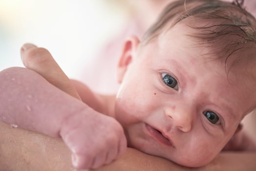 Newborn baby girl taking a  bath photo