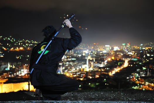 Ninja at night photo