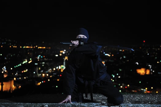 Ninja at night photo
