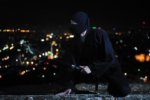 Ninja at night photo