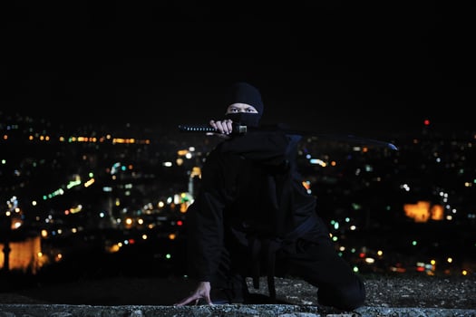 Ninja at night photo