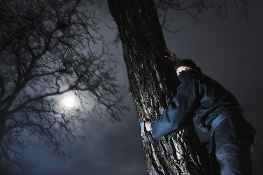 Ninja at night photo