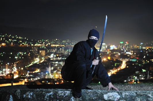 Ninja at night photo