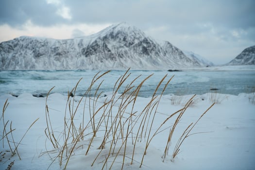 norway coast in winter with snow bad cloudy weather photo