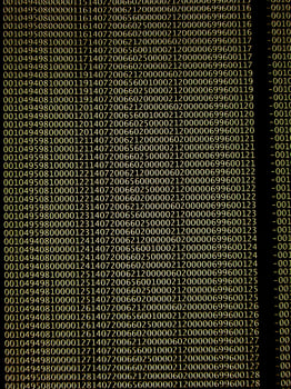 database concept with printed and coded database records photo