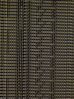 database concept with printed and coded database records photo