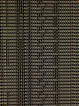 database concept with printed and coded database records photo