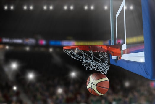 basketball ball and net photo