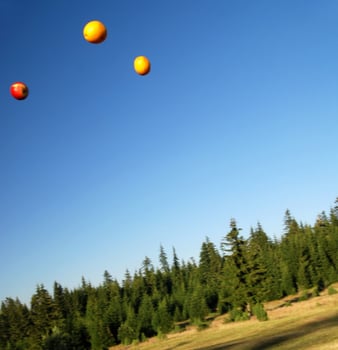 falling fruits view photo