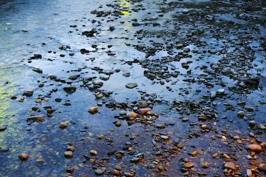 Stones on beach photo