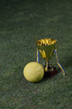 soccer cup view photo