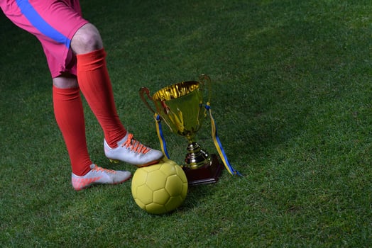 soccer player view photo