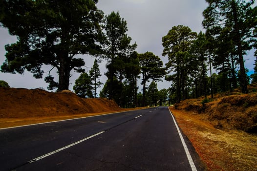 Long Lonely Road photo