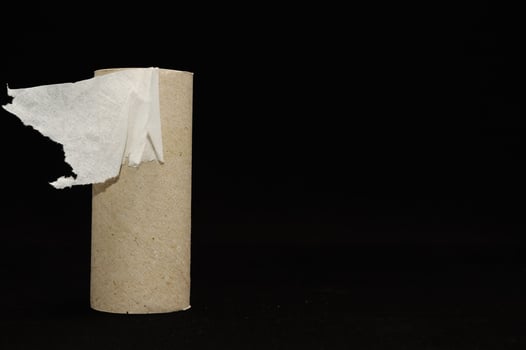 Empty Toilet Paper Roll photo