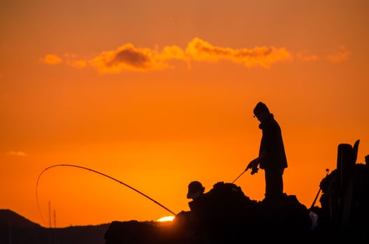Fisherman Fishing Rod Silhouette photo