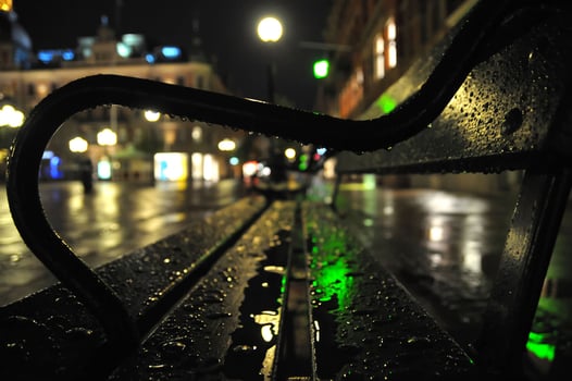 Water Drops After the Rain photo