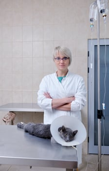 Female veterinary portrait photo