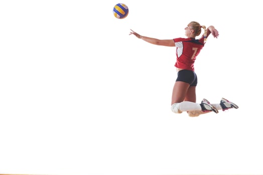 Volleyball player portrait photo
