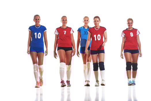 volleyball  woman group photo