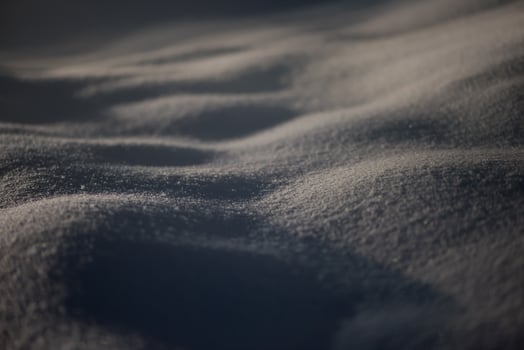 winter snow background photo