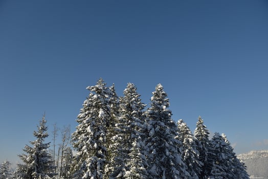 winter mountain landscape photo