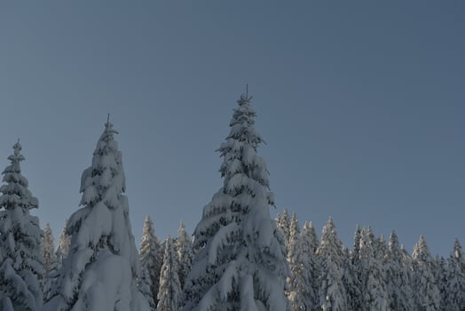 winter mountain landscape photo