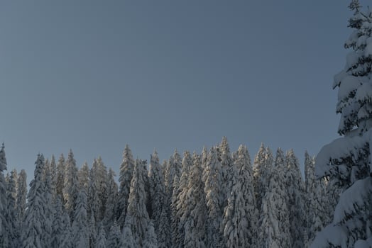 winter mountain landscape photo