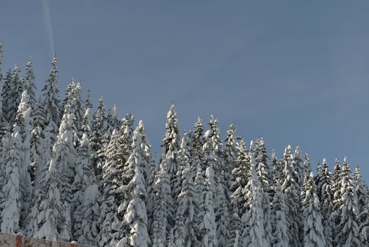 mountain winter landscape photo