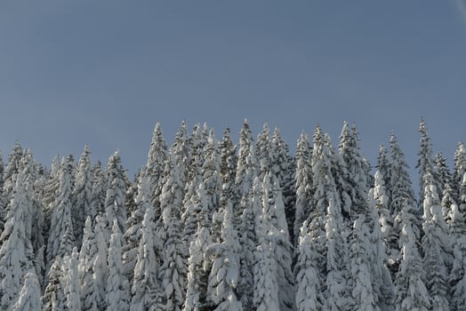 winter mountain landscape photo