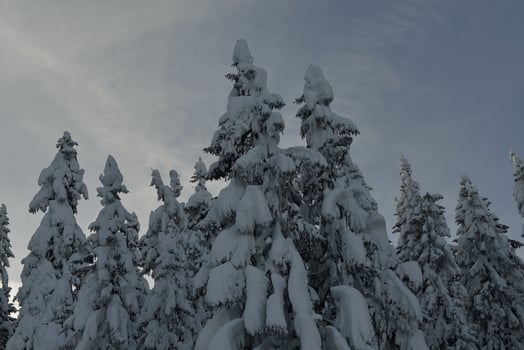 winter mountain landscape photo