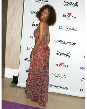 Michelle Williams Clive Davis Annual Pre-Grammy Party Beverly Hilton Hotel Beverly Hills, CA February 7, 2006 photo