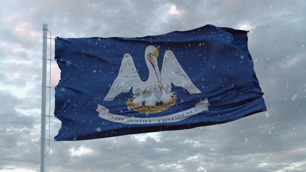 Louisiana winter flag with snowflakes background. United States of America. 3d illustration photo
