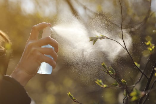 Female hands holds container and sprays tree branch with buds against bright sunlight in garden. Care and treatment of plants. selective focus photo