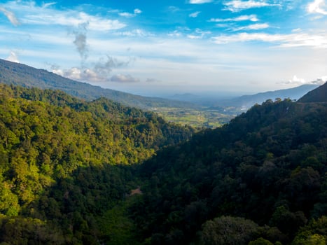 Mountain and valley landscape with forest photo