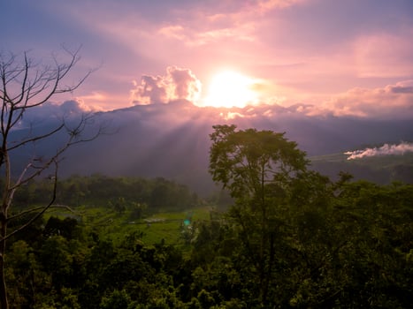 Beautiful rural landscape on sunset with sunrays photo