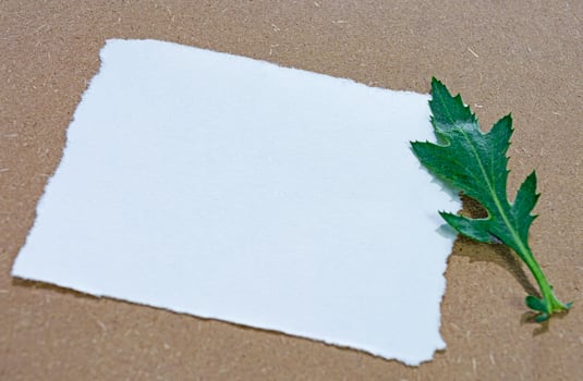 White paper on wooden surface flat lay with copy space. Directly above. photo