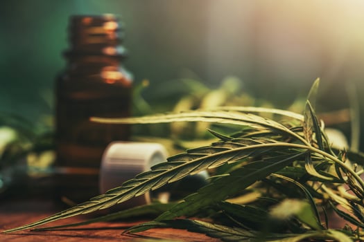 Cannabis herb and leaves with oil extracts in jars. medical concept photo