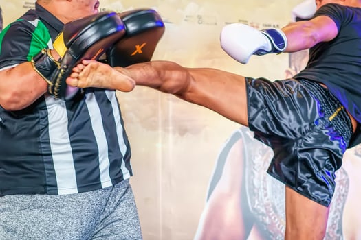 The lure of thai boxing training target. photo