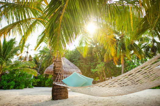 Relaxing hammock on a palm tree sunset glare of the sun. Tropical island, palm tree forest white sand. Recreational, positive energy concept photo