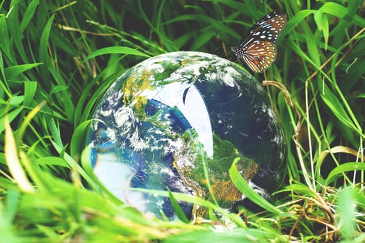 The crystal ball with the world on the grass. concept of the world and nature photo