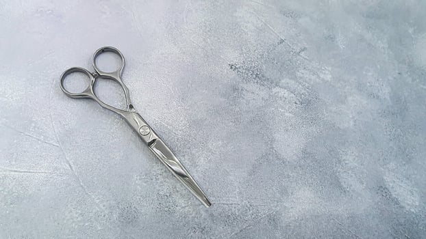 Special hairdressing scissors and comb. Professional equipment. photo
