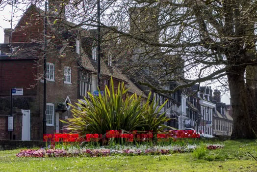 Flower display in the High Street, East Grinstead, UK on May 4, 2013 photo