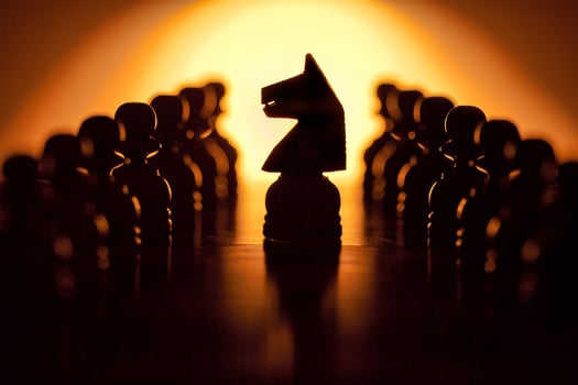 Black Knight and Pawns photo