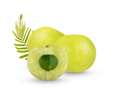 Indian gooseberry with leaves isolated on white background photo