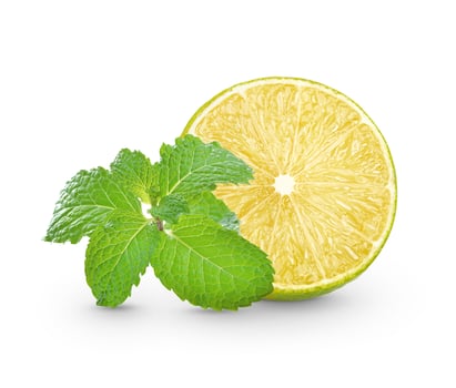 Fresh lime sliced with mint leaf isolated on white background photo