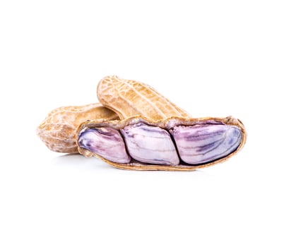 Penuts isolated on a white background photo