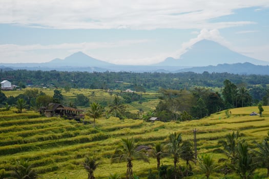 Famous Jatiluwih Rice terraces in Bali. Tabanan, Indonesia photo