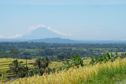 Famous Jatiluwih Rice terraces in Bali. Tabanan, Indonesia photo